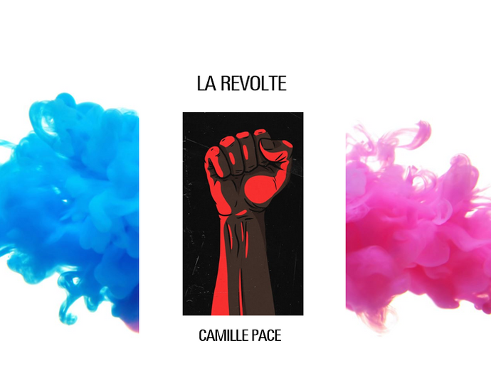 Nouvelle de Camille Pace : La Révolte